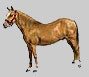 Click here for equestrian structures