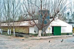 Commercial Poultry Barn Commercial Poultry Barn