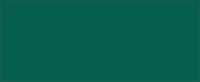 Evergreen swatch