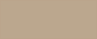 Saddle Tan swatch